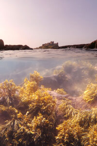 Beneath The Horizon - Bamburgh Castle