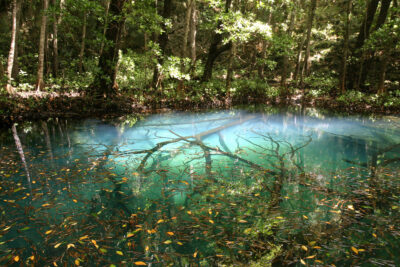 Nature's Hidden Wonder - Turquoise Waterhole, New Caledonia