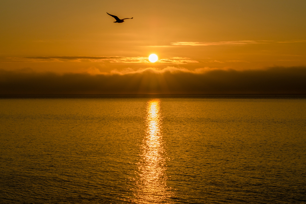 Sunrise Over The Humber