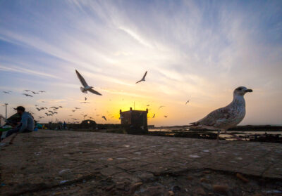 Essouira - Morocco