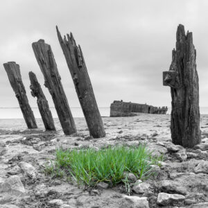 High And Dry - Alexandra Dock