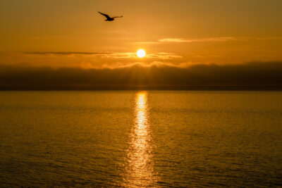 Sunrise Over The Humber