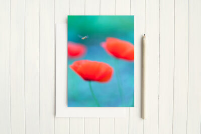 Flight Amongst Poppies - Greetings Card