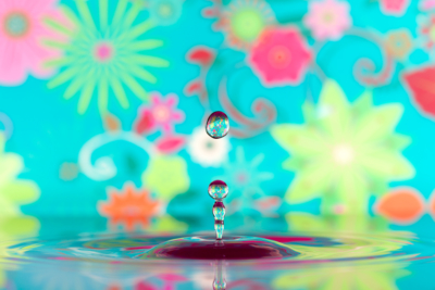 Water Drop - Flowers
